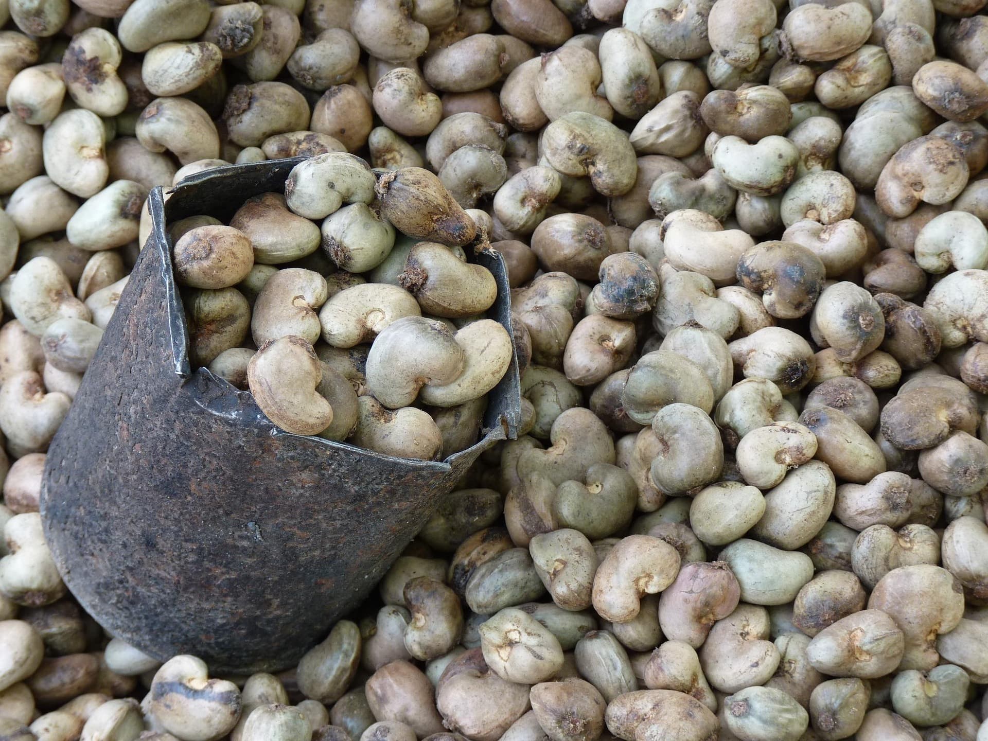 Cashews